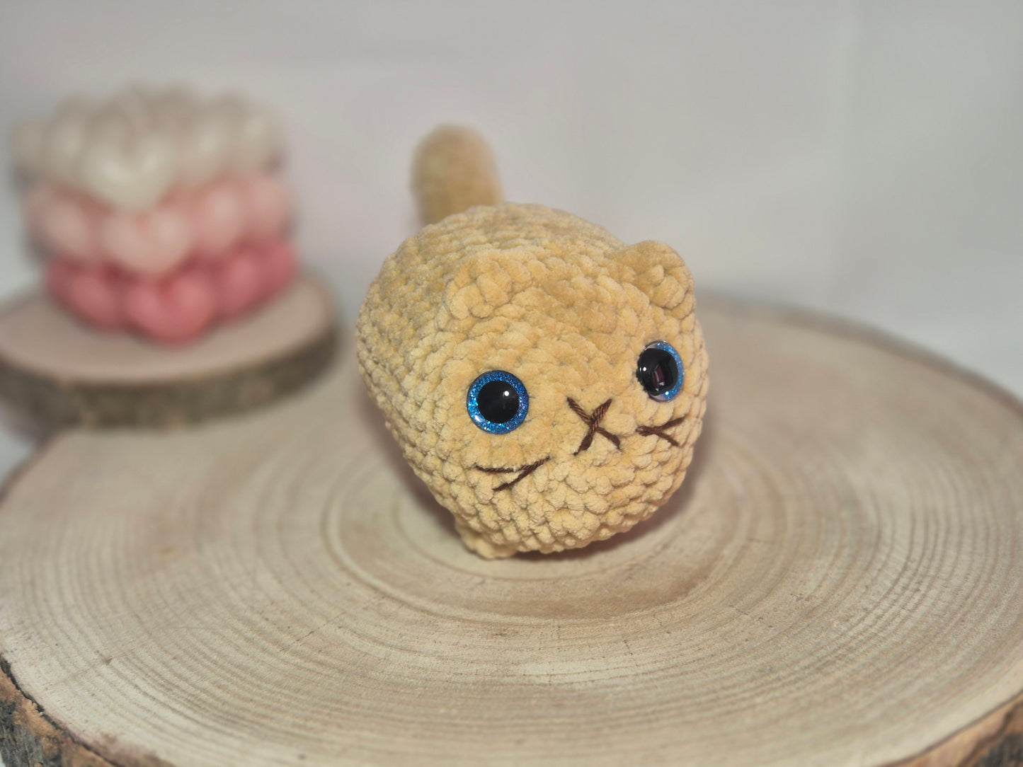 Katze